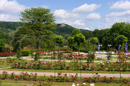 Grüttpark in Lörrach