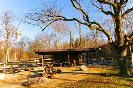 Tierpark Lange Erlen